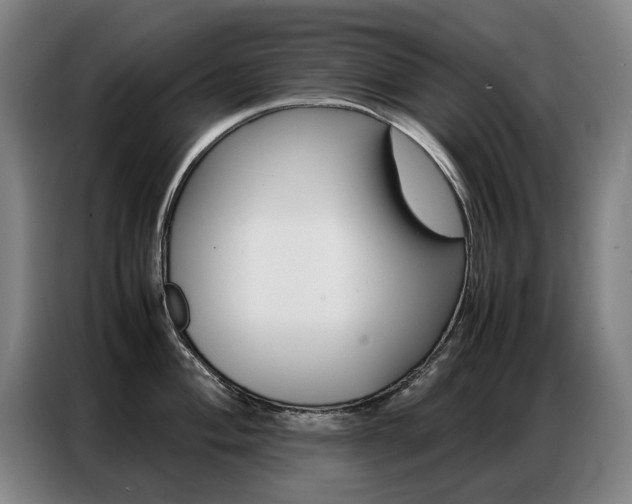 X0000087361004200704200822