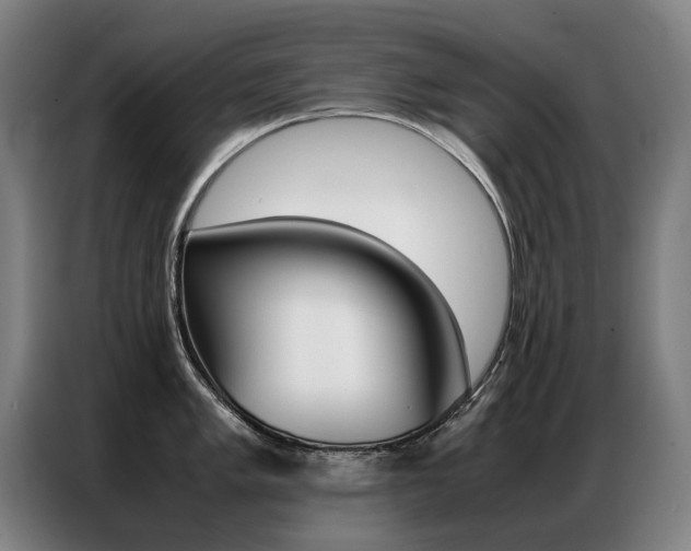 X0000087361005200704200822