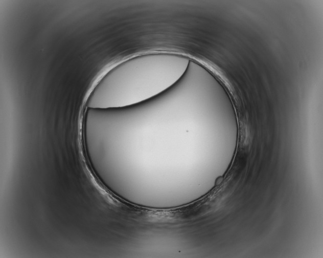 X0000087361006200704200822