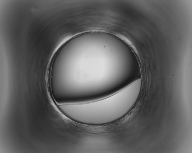 X0000087361007200704200822