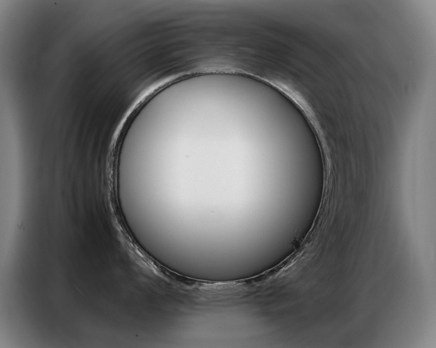 X0000087361008200704200822