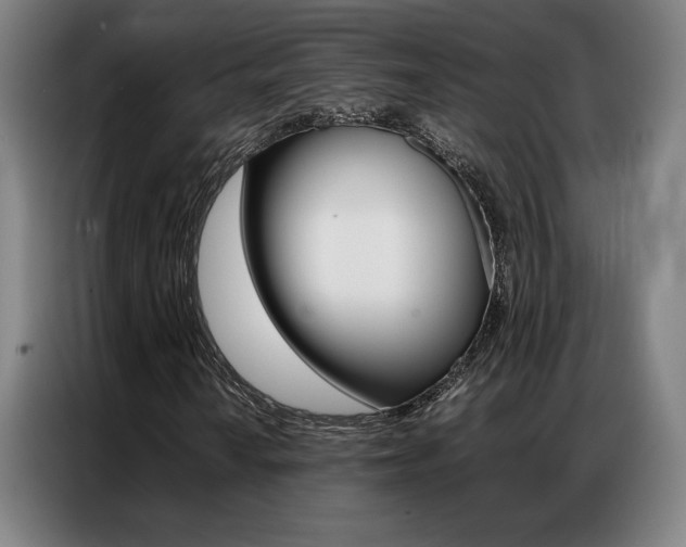 X0000087361010200704200821