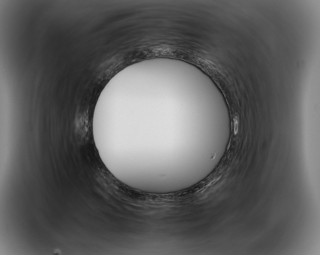 X0000087361011200704200821