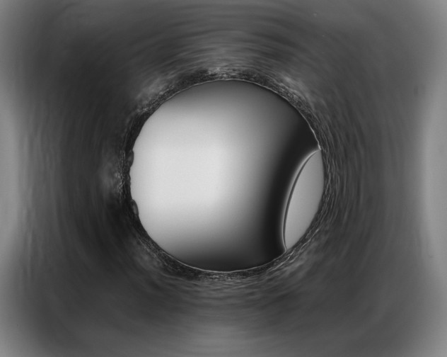 X0000087361012200704200821