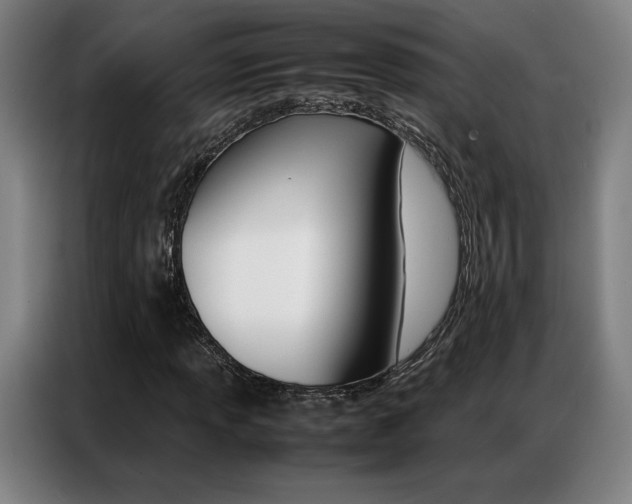 X0000087361013200704200821