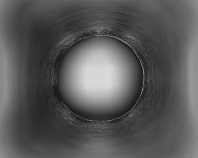 X0000087361014200704200821