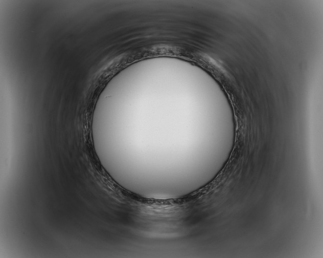X0000087361015200704200821