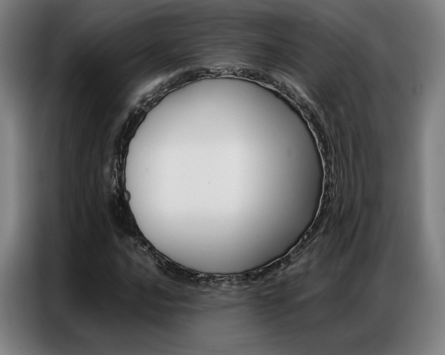 X0000087361016200704200821