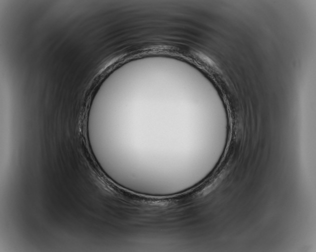 X0000087361017200704200821