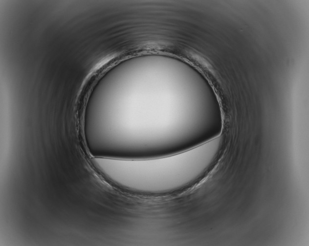 X0000087361018200704200821