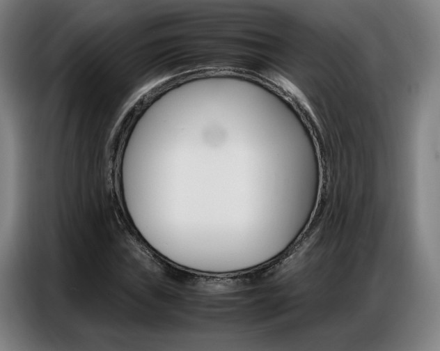 X0000087361019200704200821