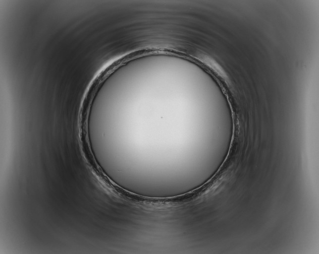 X0000087361020200704200821