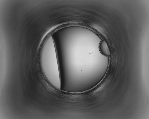 X0000087361021200704200821