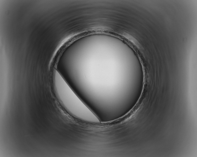 X0000087361022200704200821