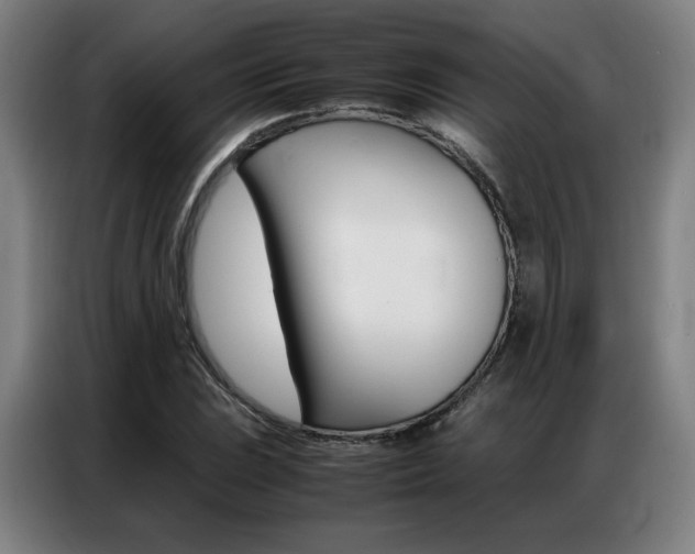 X0000087361023200704200821