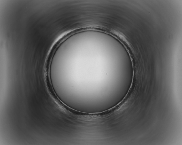 X0000087361024200704200821