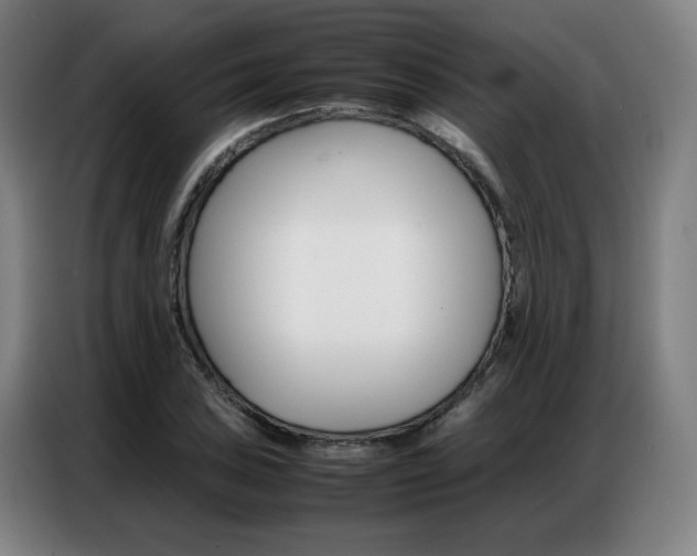 X0000087361027200704200821