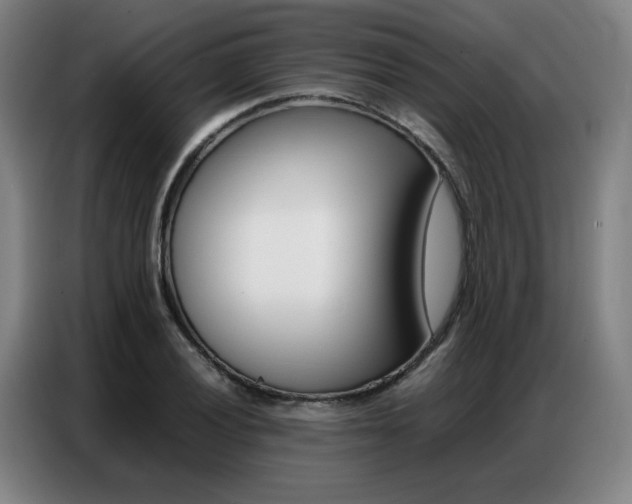 X0000087361028200704200821