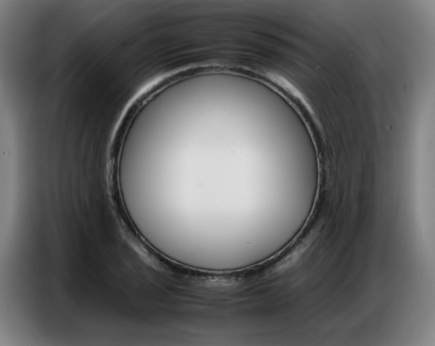 X0000087361029200704200821