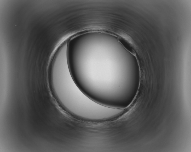 X0000087361030200704200821