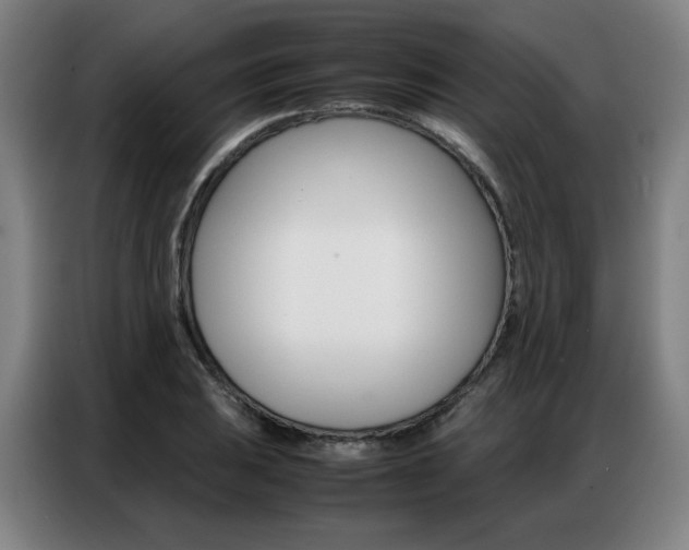 X0000087361031200704200821