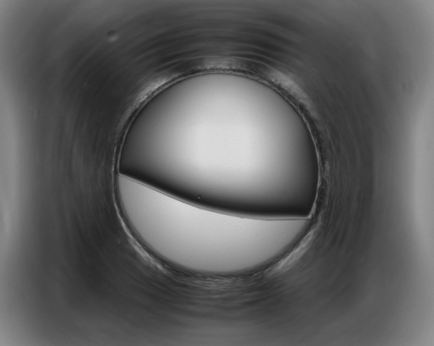 X0000087361033200704200821