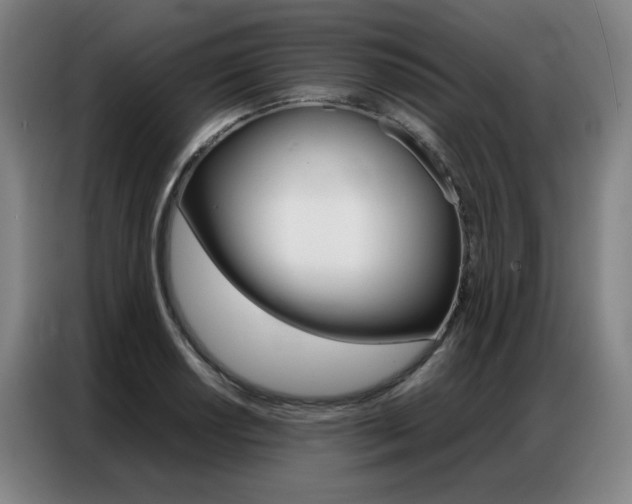 X0000087361034200704200821