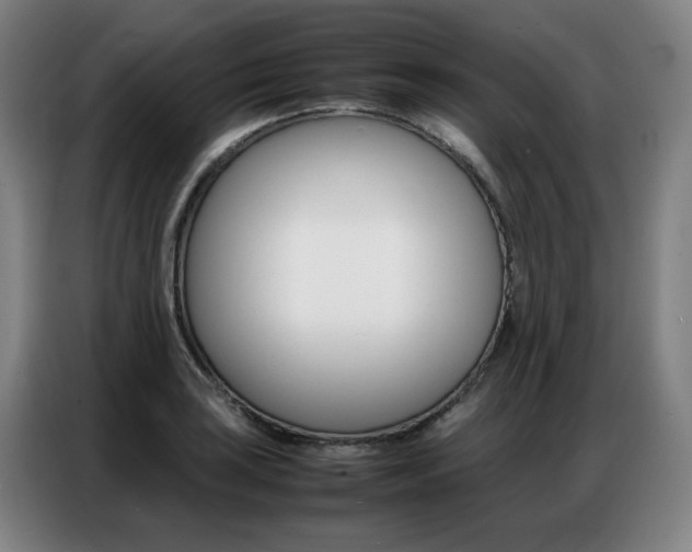X0000087361035200704200821
