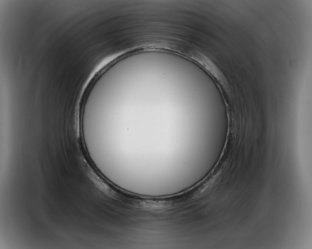 X0000087361036200704200821