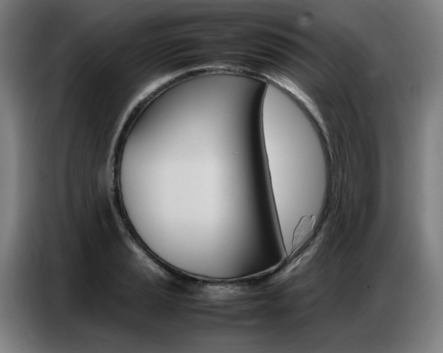 X0000087361037200704200821