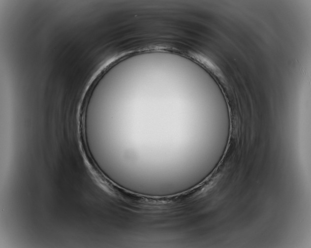 X0000087361039200704200821