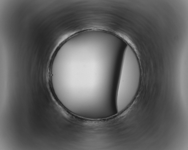 X0000087361040200704200821