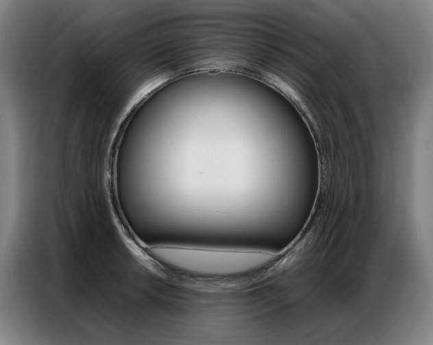 X0000087361042200704200821