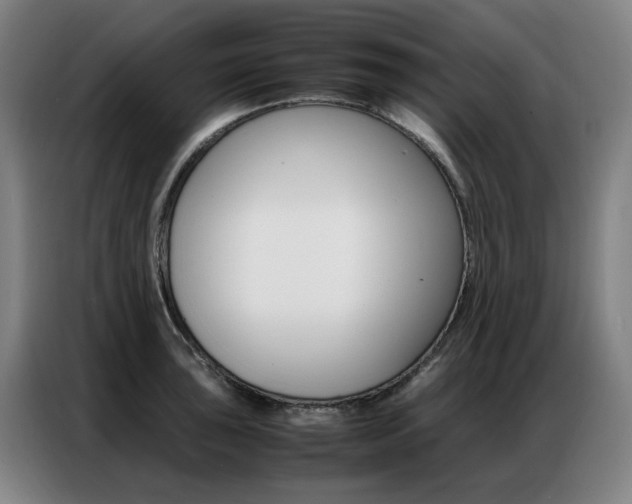 X0000087361043200704200821