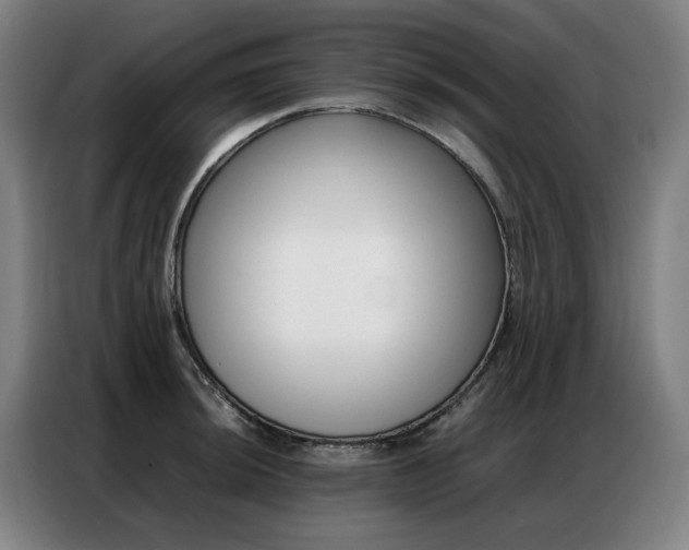 X0000087361044200704200821