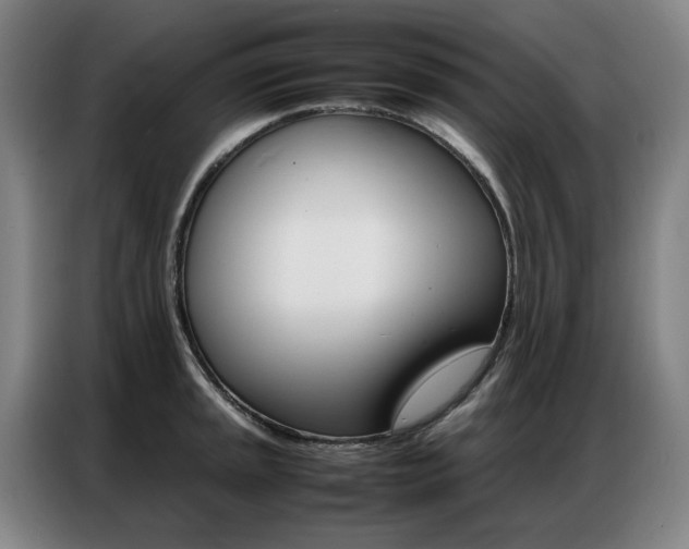 X0000087361045200704200821