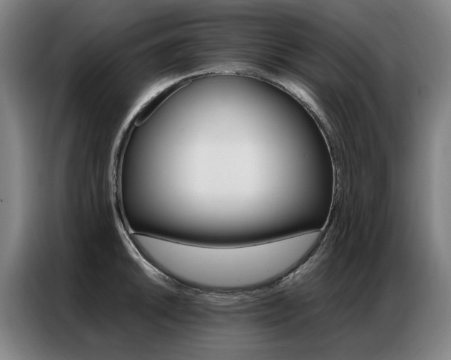 X0000087361046200704200821