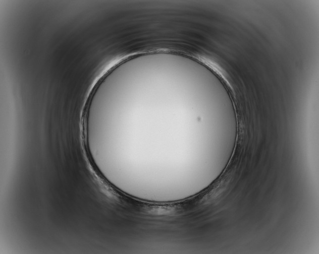 X0000087361047200704200821