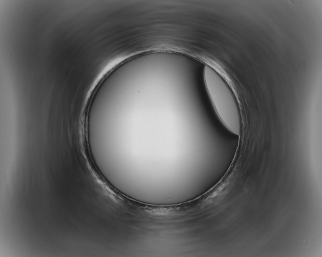 X0000087361048200704200821