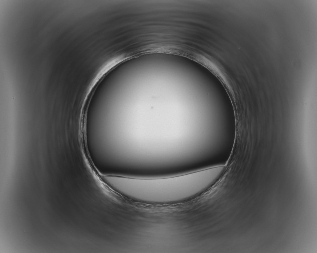 X0000087361050200704200821