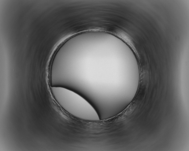 X0000087361051200704200821