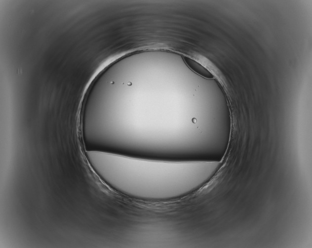 X0000087361052200704200821