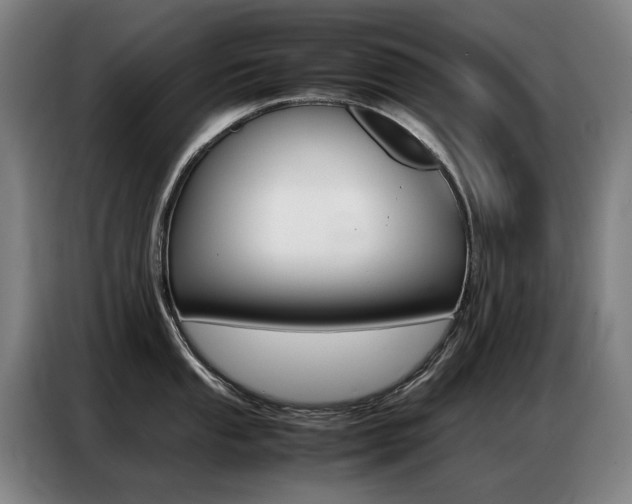 X0000087361053200704200822