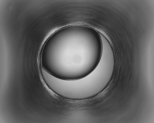 X0000087361054200704200822