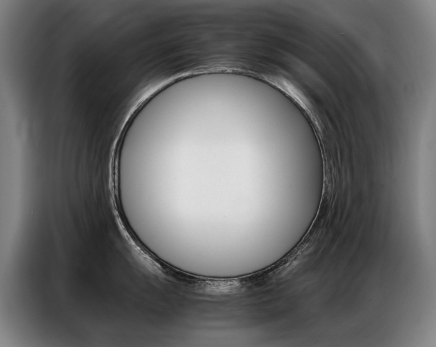 X0000087361055200704200822