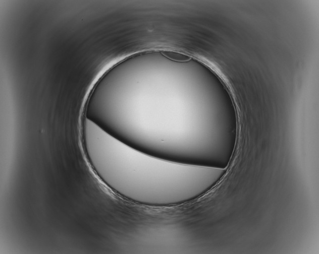 X0000087361056200704200822