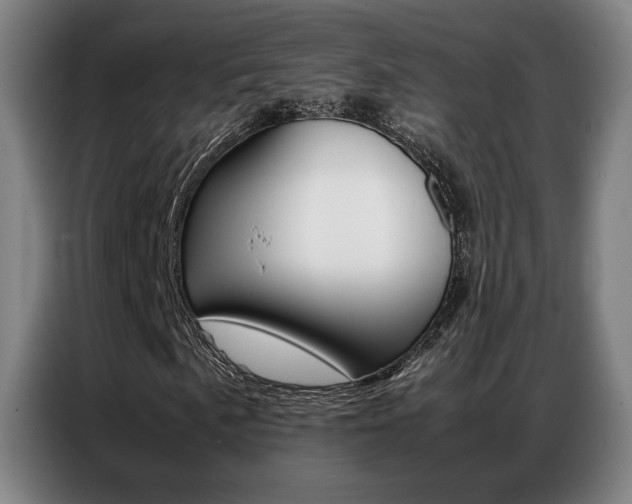 X0000087361057200704200821