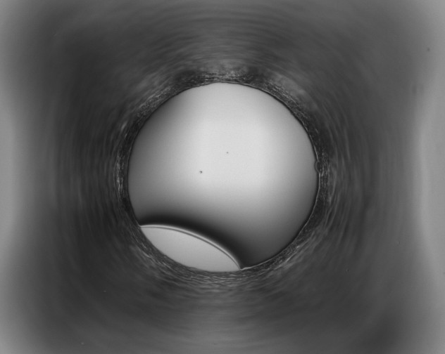 X0000087361058200704200821