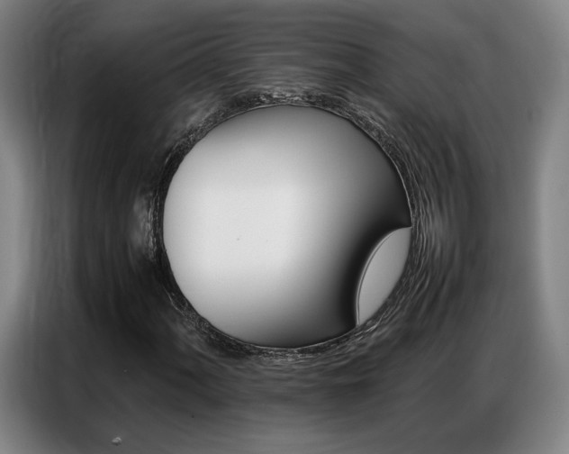 X0000087361060200704200821