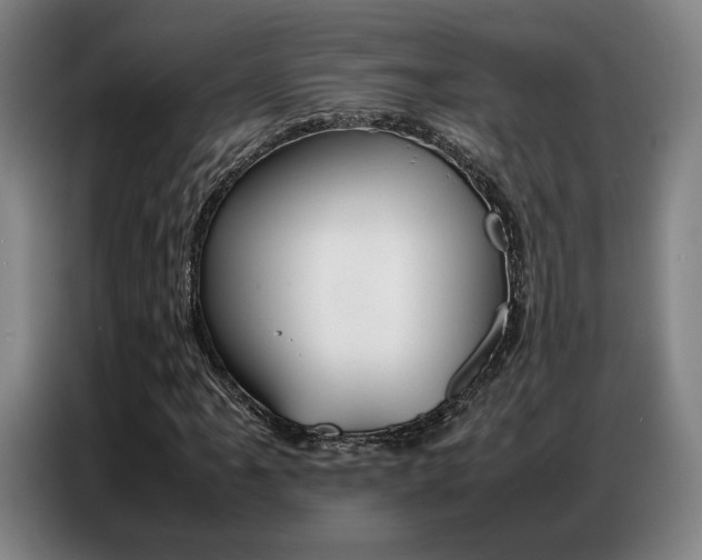 X0000087361061200704200821